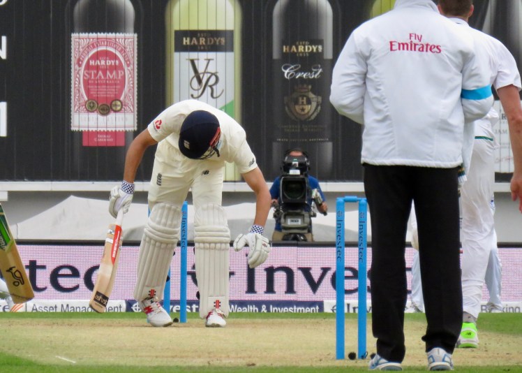 fullsizeoutput_5b965