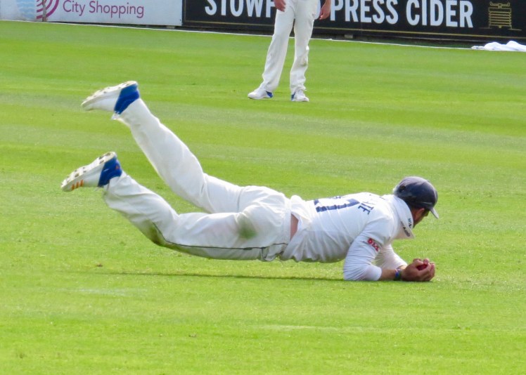 fullsizeoutput_59786