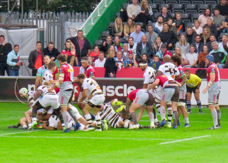 fullsizeoutput_5dca2