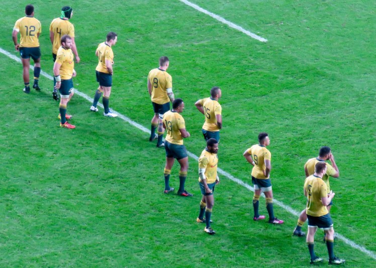 fullsizeoutput_5ebe5