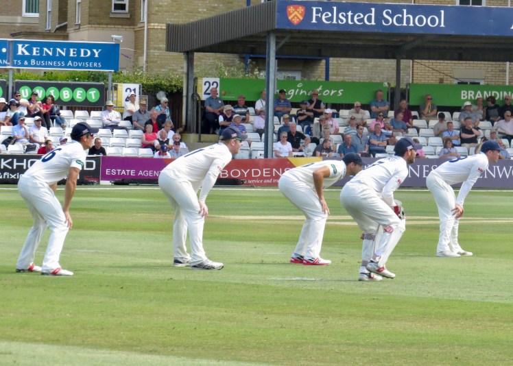 fullsizeoutput_5a50c