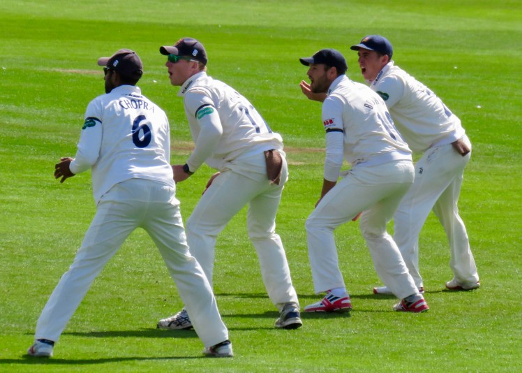 fullsizeoutput_5c440