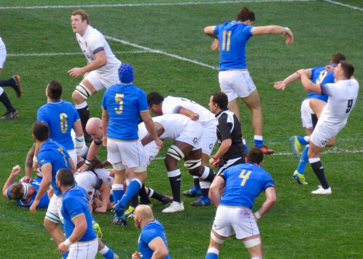 fullsizeoutput_60bb3