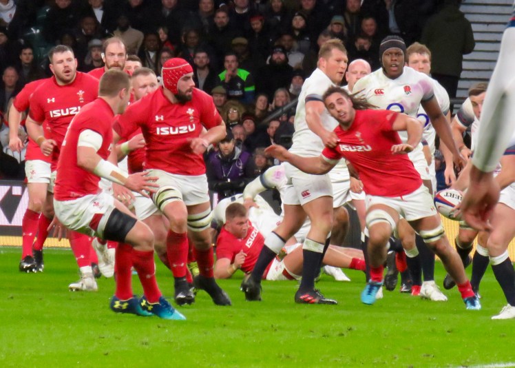 fullsizeoutput_60ece