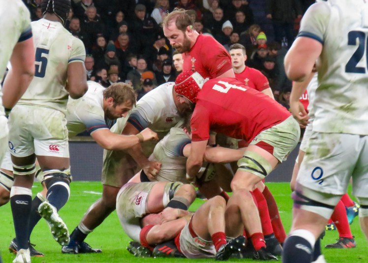 fullsizeoutput_60ef3