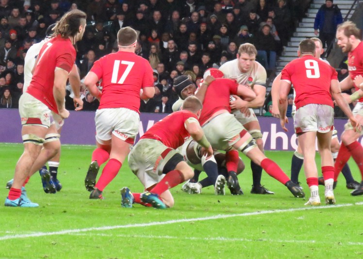 fullsizeoutput_60eff