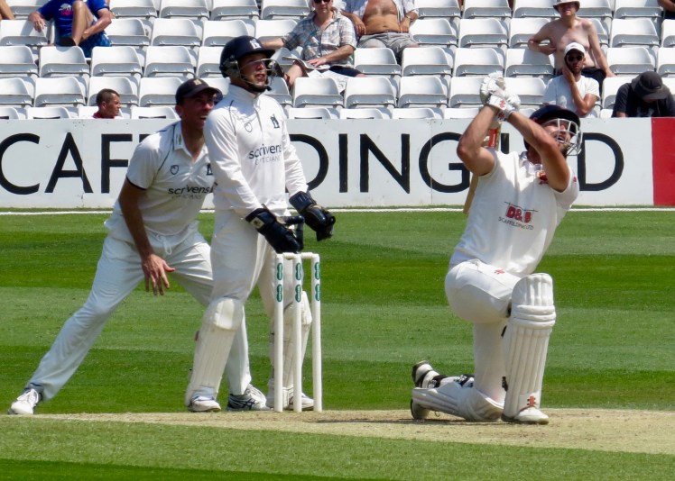 fullsizeoutput_61209