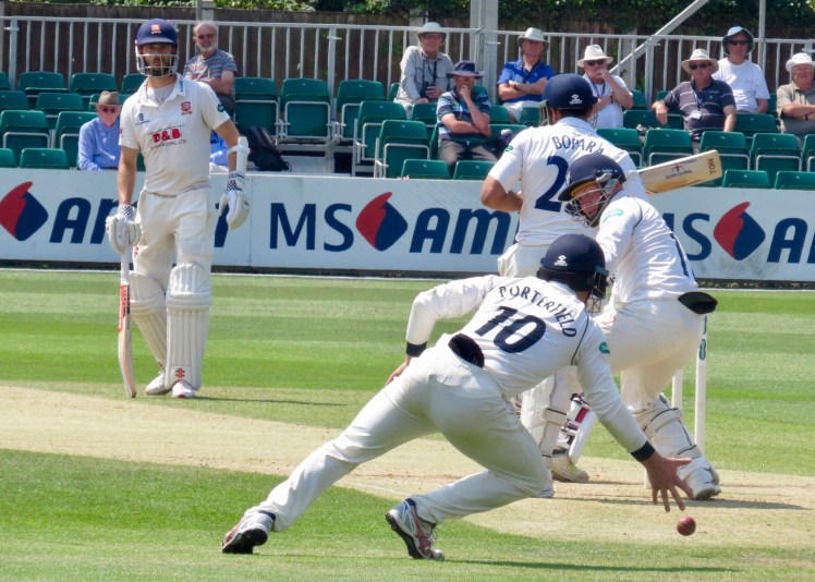 fullsizeoutput_6121a