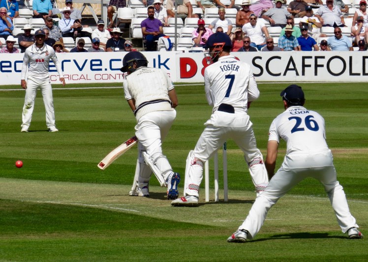 fullsizeoutput_61266