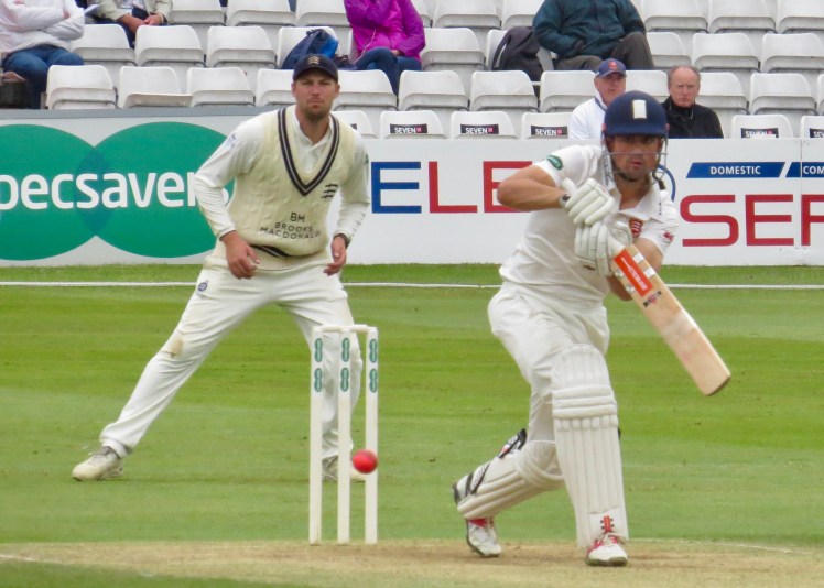 fullsizeoutput_61276