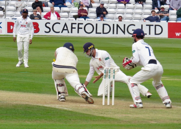 fullsizeoutput_61301