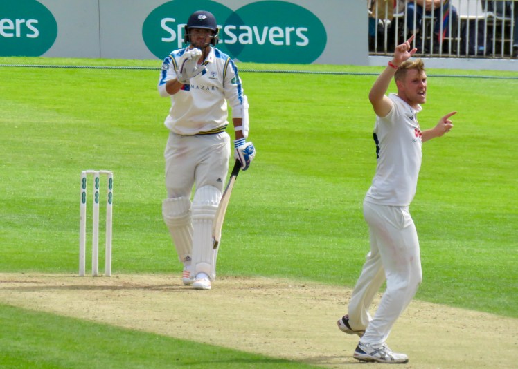 fullsizeoutput_613c3