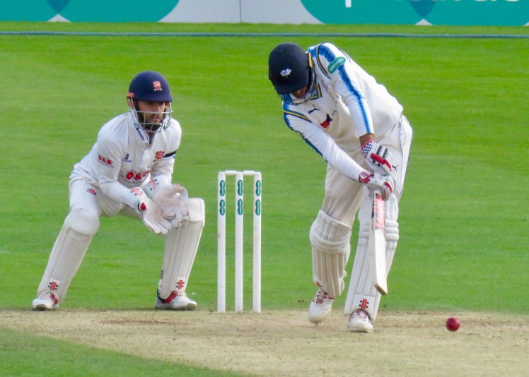 fullsizeoutput_613c7