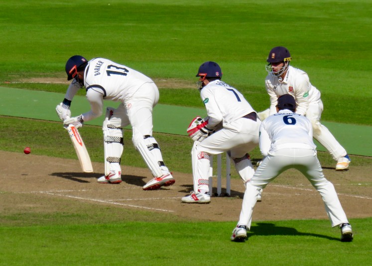 fullsizeoutput_5d011