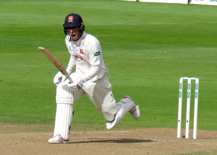 fullsizeoutput_5d038