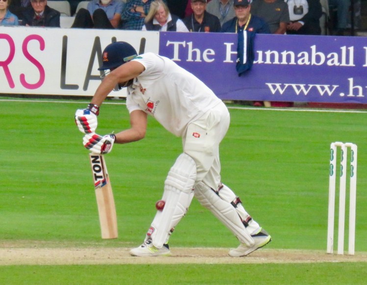 fullsizeoutput_5d4ce