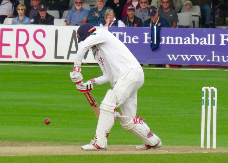 fullsizeoutput_5d4da