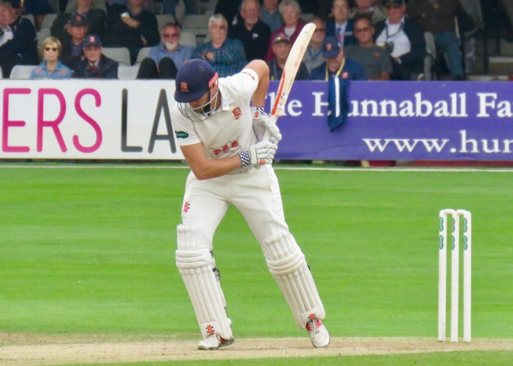 fullsizeoutput_5d4dc