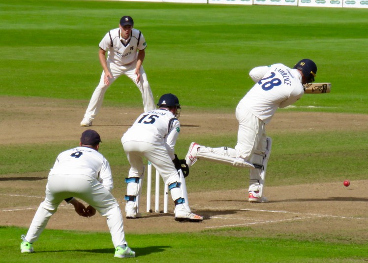 fullsizeoutput_61632