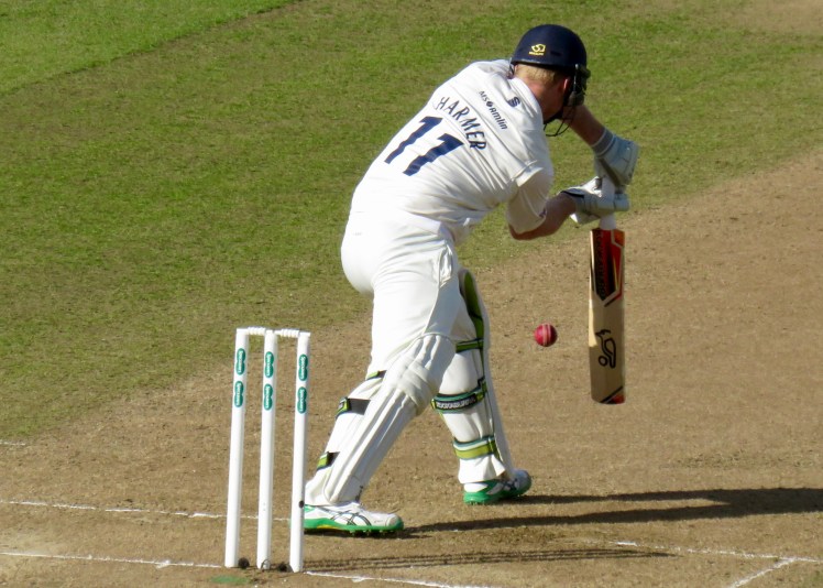 fullsizeoutput_61638