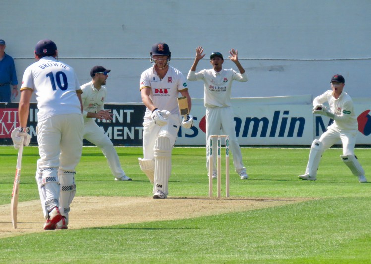 fullsizeoutput_62b13