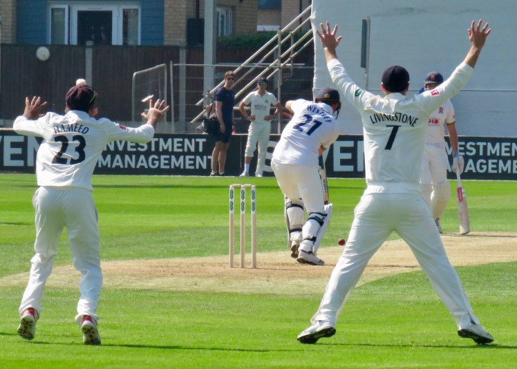 fullsizeoutput_62b42