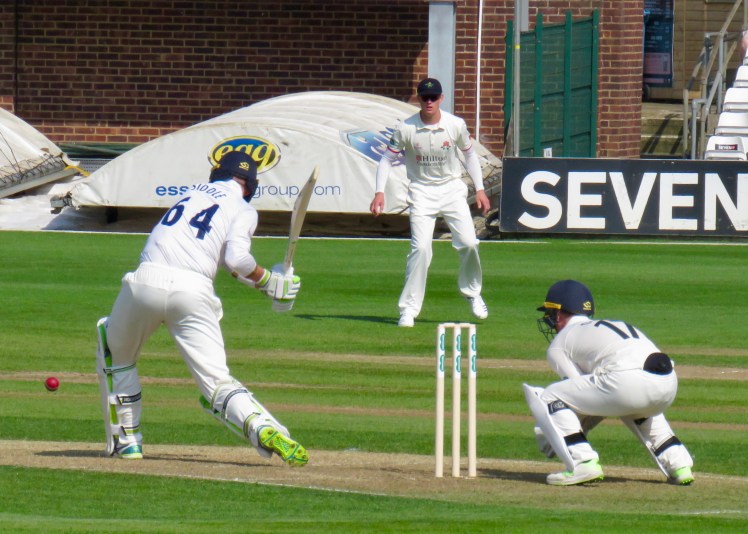 fullsizeoutput_62bfa