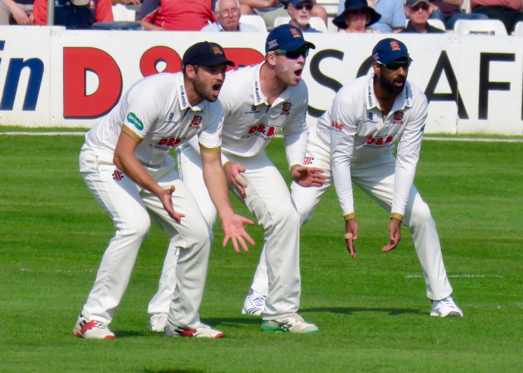 fullsizeoutput_62c28