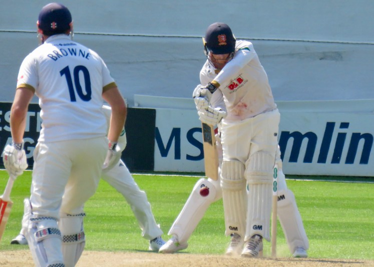 fullsizeoutput_62d23