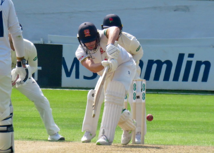 fullsizeoutput_62d33