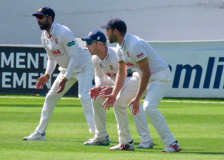 fullsizeoutput_62dc1