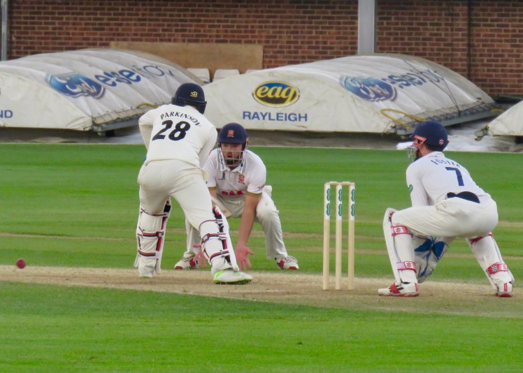 fullsizeoutput_62e86