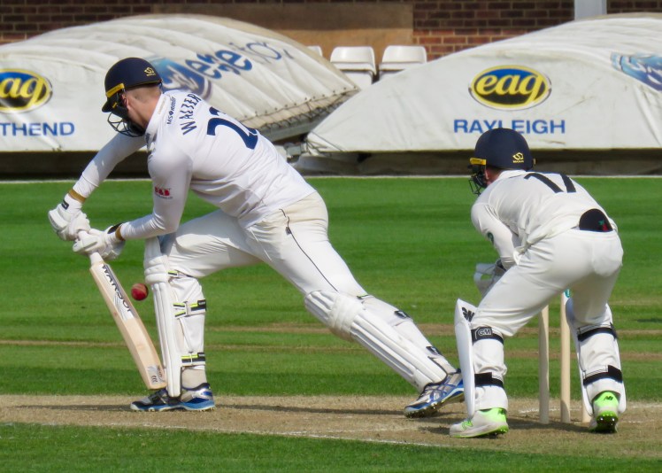 fullsizeoutput_62ea6