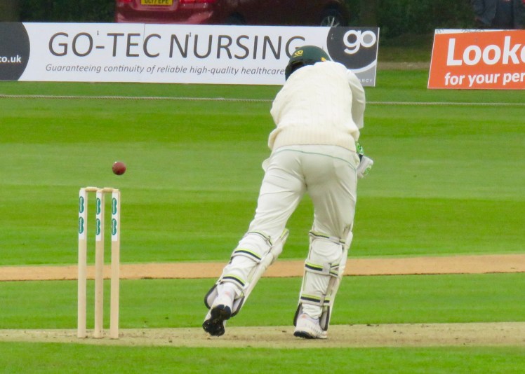 fullsizeoutput_62ebf