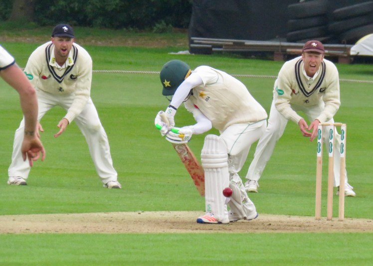 fullsizeoutput_62f89