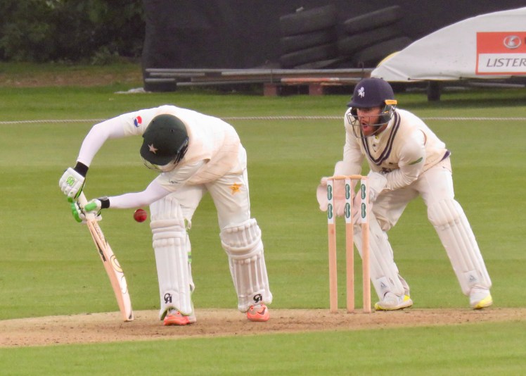 fullsizeoutput_62fe2