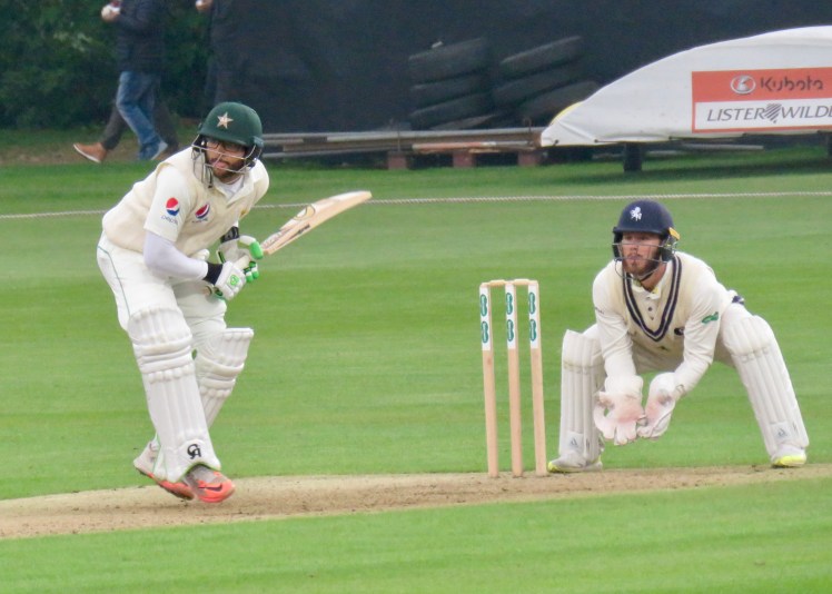 fullsizeoutput_62ff2