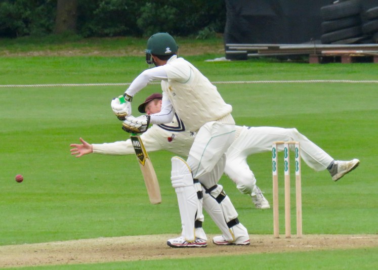 fullsizeoutput_63072