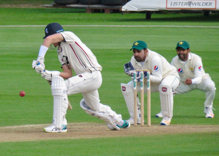 fullsizeoutput_63135