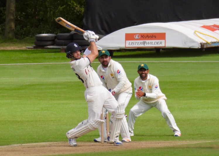 fullsizeoutput_63159