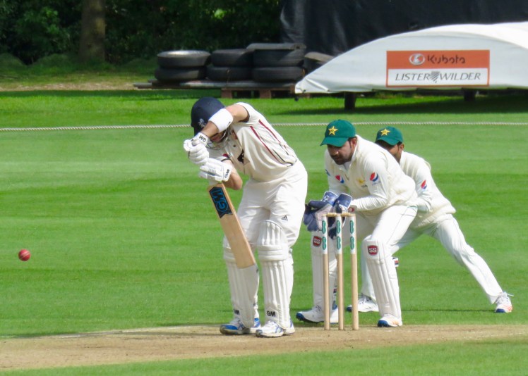 fullsizeoutput_63177