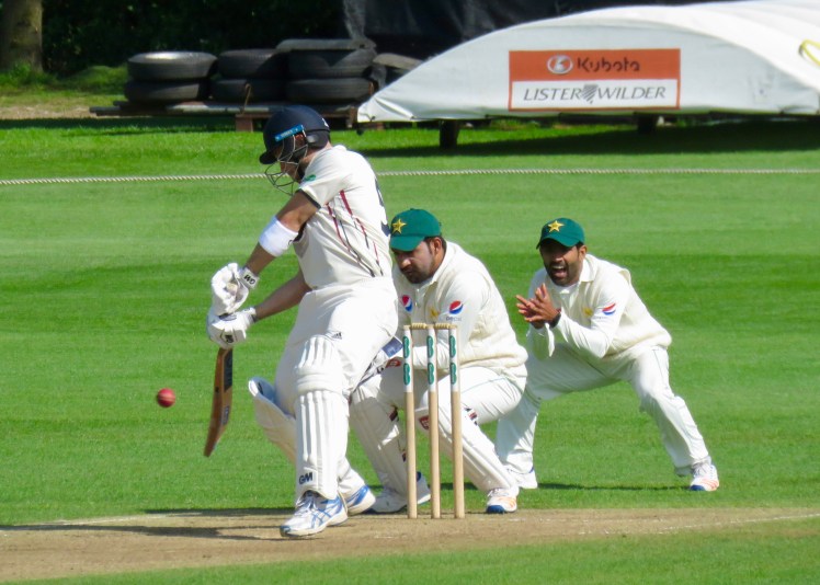 fullsizeoutput_631bc