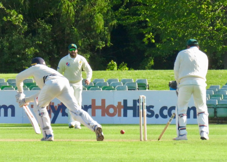 fullsizeoutput_63256