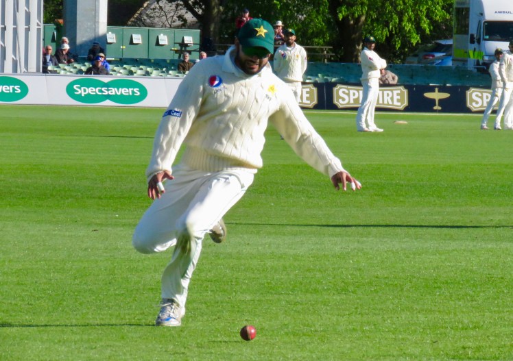 fullsizeoutput_63271