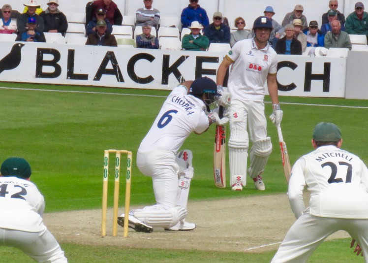 fullsizeoutput_63cc8