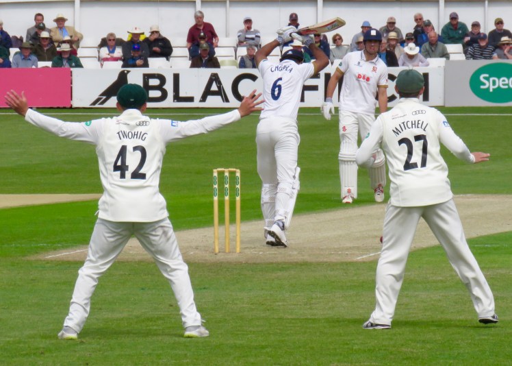 fullsizeoutput_63ccb