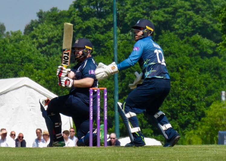 fullsizeoutput_64116