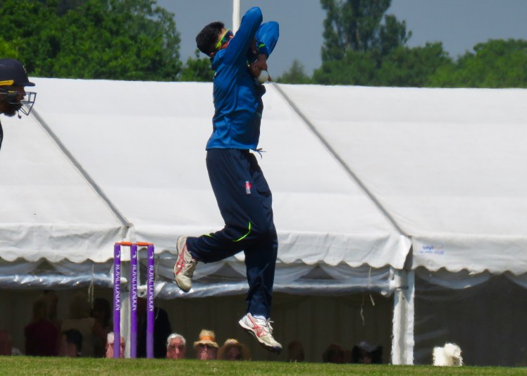 fullsizeoutput_64177