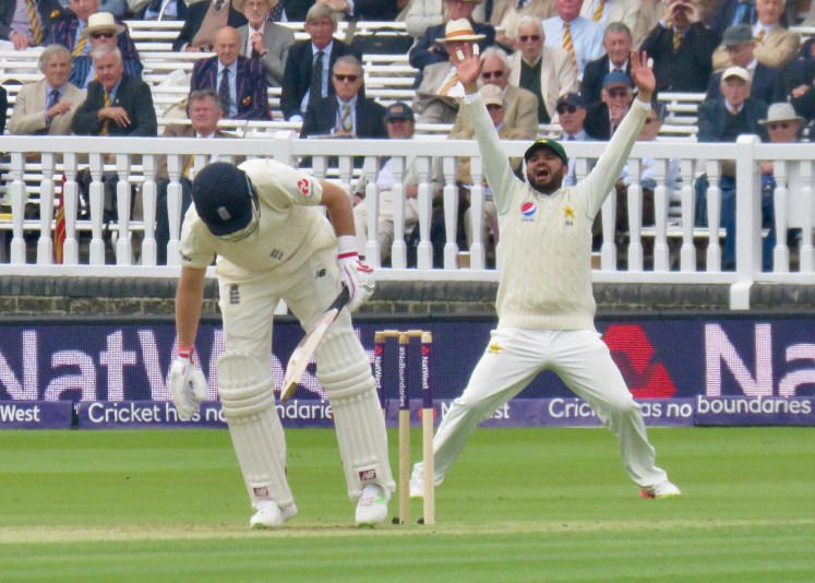 fullsizeoutput_64439