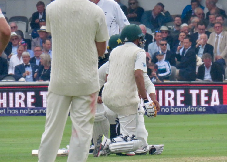 fullsizeoutput_64e1e